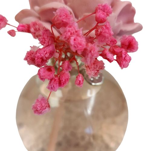 Mikado Rosa