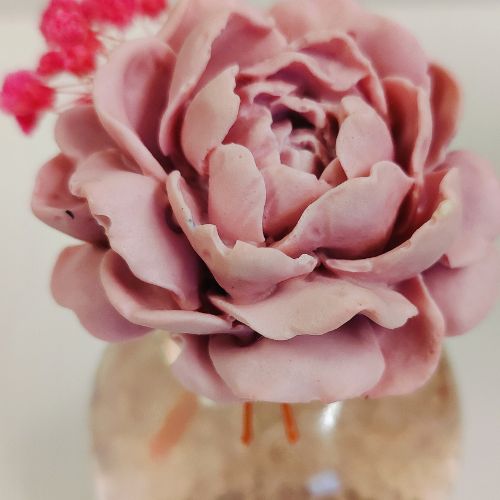 Mikado Rosa
