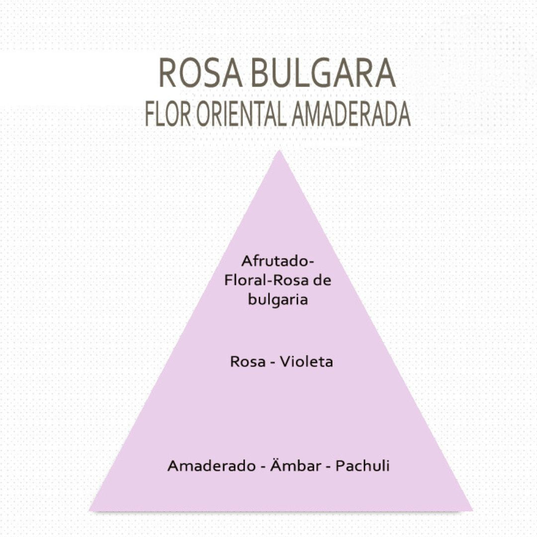 Mikado ROSA BÚLGARA 100ml